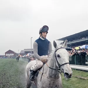 Champion racehorse Desert Orchid after taking first place in the Gold Cup race at