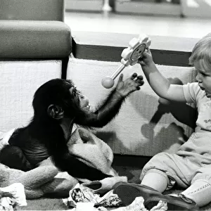 Children - Animals Chimps - May 1982 A Chimps Toy Party
