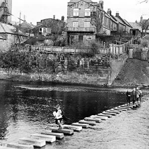 Children cross the River Wansbeck on stepping stones near Bothal Wood at Morpeth