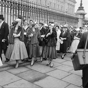 Debutantes queue at Buckingham Palace this morning to meet Queen Elizabeth II