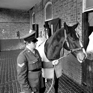 "Dennis"is the first Army horse to go into retirement under the recent