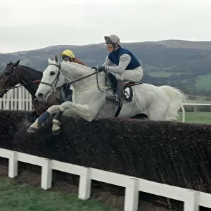 Desert Orchid clears a jump during the Cheltenham Gold Cup race 15th March 1990