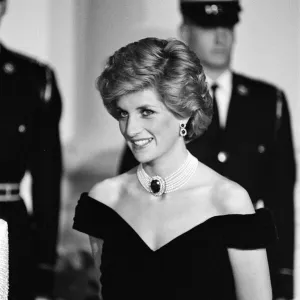 Diana, Princess of Wales at The White House Gala Dinner, Washington, DC