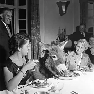 Donkey Club dinner, Wivelsfield Mrs. Amelia James and "Tom Thumb"the donkey
