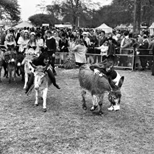 Donkey Derby held for charity at Festival Gardens. April 1972 72-04585-008