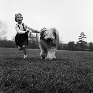 English sheepdog Bobby Bingo and his four year old playmate Caroline Sheldrake