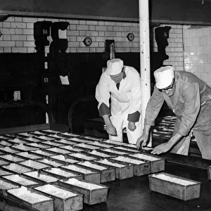 Export Dundee cakes are loaded onto the oven trays in the Avana Bakery, Cardiff