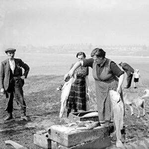 Fisherwomen of New Biggin, England inspect their catch Women fulfilling Mens work