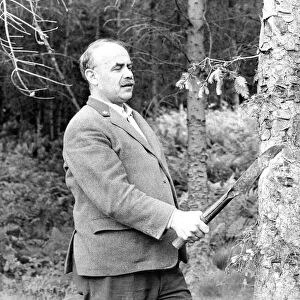 A forestry worker marking the trees for felling with a lethal looking instrument in 1970
