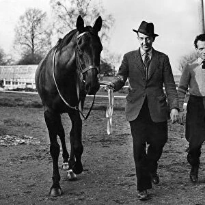 Grand National runner "The Crofter"pictured at his training quarters at
