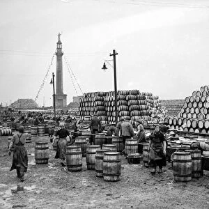 Herring girls unloading barrels of herring at the docks in Great Yarmouth Circa