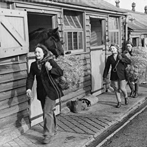 Hunting Girls working at the Army Remount Depot Melton Mowbray