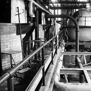 Inside Higsons Brewery. Date unknown