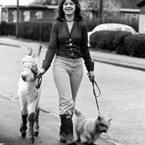 Jean Wooler walking "Misty"the donkey. January 1975 75-00591-002