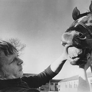 Jockey Gordon Holmes attending to teeth of a horse. September 1974 P007117