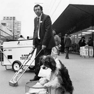 One man and his dog. Malcolm Walden and Pippin clean up the streets