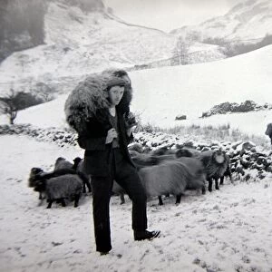 Man with sheep on snowy hills Circa 1943