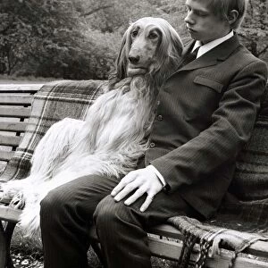 A man sitting on a park bench with his Afghan hound May 1967