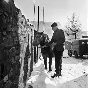 A man with a Welsh pony in a village during winter. December 1952 C6064-003
