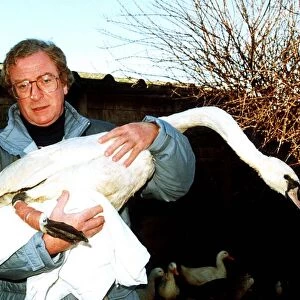 Michael Caine actor with injured swan being treated at Dot Beesons Sanctuary in Surrey