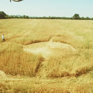 1990 Crop Circles Print 1990 Crop Circles Print