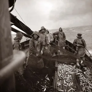Il equipaggio di una barca da pesca di Yarmouth trae in secca la sua presa su un mare del Nord agitato da tempesta. Il equipaggio di una barca da pesca di Yarmouth trae in secca la sua presa su un mare del Nord agitato da tempesta.