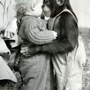 Baby Bill and Pepe the Chimp Rub Noses Print 1954 Baby Bill and Pepe the Chimp Rub Noses Print 1954