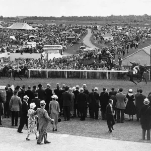 Hard Ridden Wins Epsom Derby Print 1958 Hard Ridden Wins Epsom Derby Print 1958