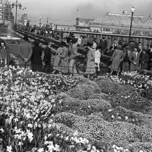 Eastbourne Easter Holidaymakers Print, 15th April 1949 Eastbourne Easter Holidaymakers Print, 15th April 1949