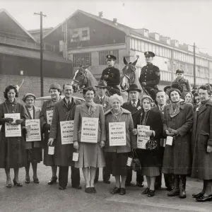 Volontari della Società degli Amici dei Cavallo di Bristol (adesso HorseWorld). Volontari della Società degli Amici dei Cavallo di Bristol (adesso HorseWorld).