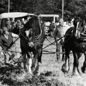 Brailsford Ploughing Match Print, 15th October 1981 Brailsford Ploughing Match Print, 15th October 1981