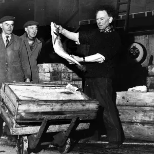 Liverpool Wholesale Fish Markets Opening, 1966 Print Liverpool Wholesale Fish Markets Opening, 1966 Print