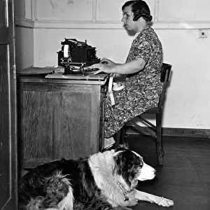 Miss Archer, blind typist, at work in the M. A. P. factory with her dog Sam who waits