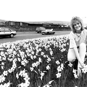 Miss Evening Chronicle Jacqui Failes among the daffodils on Scotswood Road