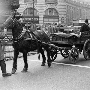 Mr Henry Cooke, of Finsbury Park, loses his new white grand piano in Piccadilly Circus