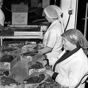 Mrs M Ireland (right) and Miss I Pesticcio at work on the export cake band in the Avana
