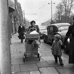 Mrs Robina Jenkins of Piersfield Place, Cardiff, seen here taking her dogs Pedro