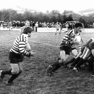 Owain Williams, Glamorgan Wanderers No. 8 Rugby Union Player