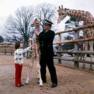 P. C. Jack McGregor with his daughter Catriona and a Baby Giraffe at Blair Drummond Safari