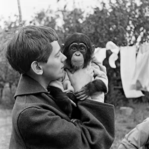 Photo shows Gerald Durrell and Jacqueline Durrell with their pet Chimpanzee Cholmondley