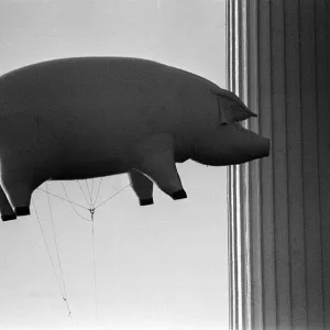 Pink Floyd Inflatable Flying Pig at Battersea December 1976 Power Station in London