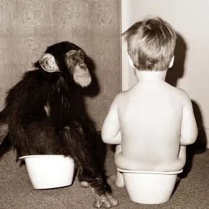 Potty Training - this young chimp joins his young friend for potty training