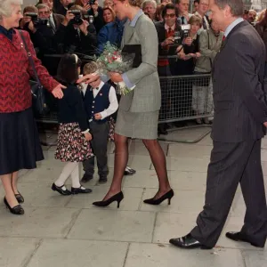 Princess of Wales, who has been appointed vice-President of the British Red Cross