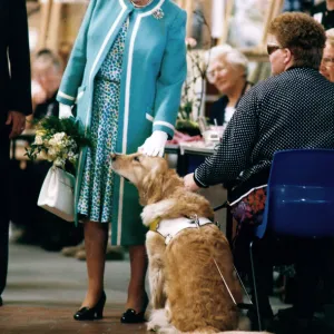 Queen Elizabeth II visits Manchester. The Queen pats a dog at Hopwood Hall