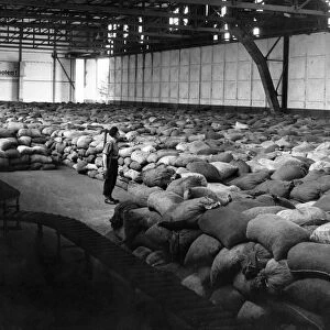 Sacks of coal in Germany waiting to be flown to Berlin as part of the Allied airlift