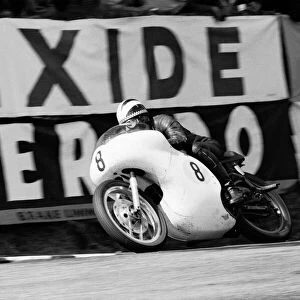 Senior TT race, Isle of Man. Phil Read in action. 8th June 1964