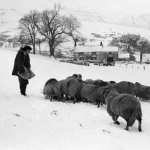 January Greetings Card Collection: 22 Jan 1984