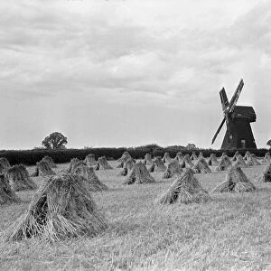 The Shiremark Mill near Horsham on the Surrey, Sussex borders. August 1933 987