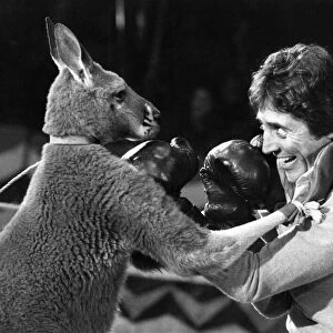 Skippy the kangaroo doesn t appear impressed by French singer Sacha Distel