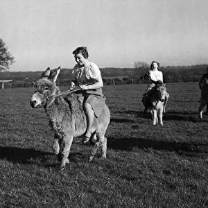 Training for the donkey race at Wivelsfield in Sussex. Circa 1960